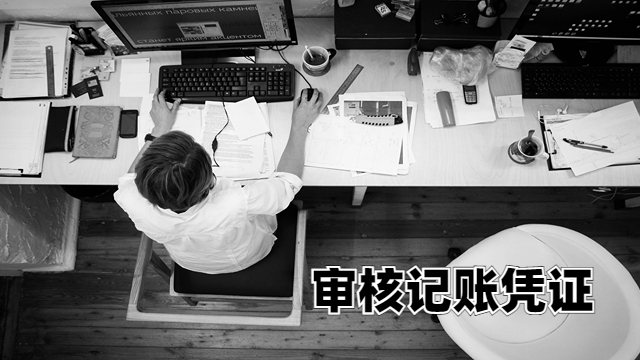 天津本地审核记账凭证一般多少钱 中税正洁税务师事务所供应
