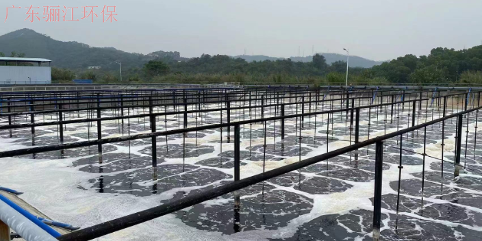 广东冶炼废水处理 达标排放 广东骊江环保科技供应