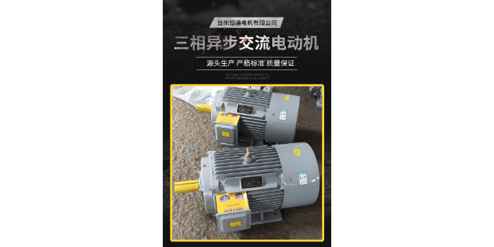 江蘇三相異步電機 和諧共贏 臺州恒通電機供應