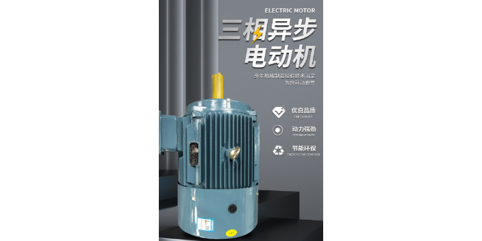 上海水产养殖用三相异步电机 值得信赖 台州恒通电机供应