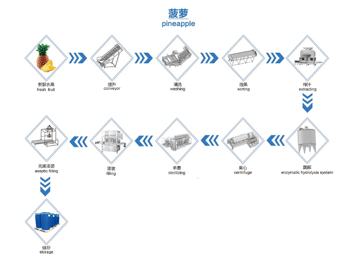 宁夏大型菠萝加工生产线流程