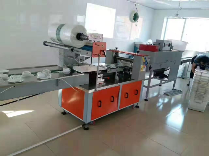 東莞瓶子枕式包裝機(jī)功能性質(zhì) 廣東新智元機(jī)械設(shè)備供應(yīng)
