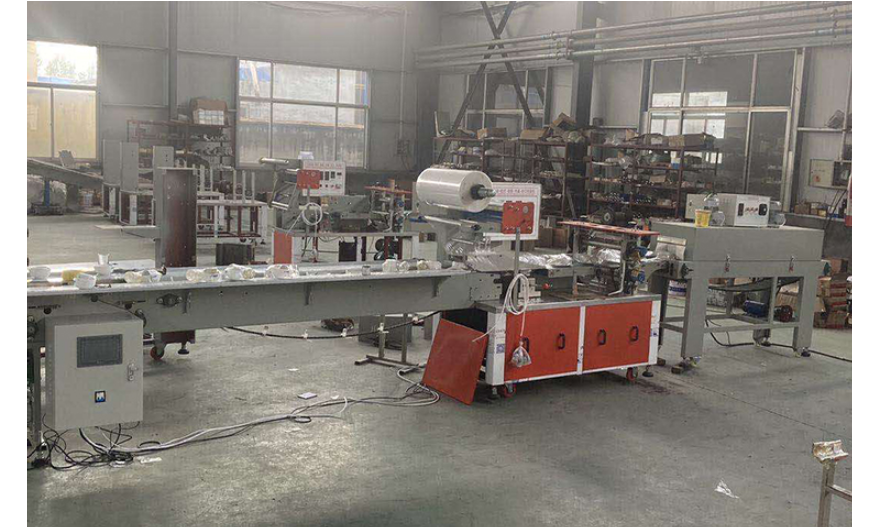 東莞袋子枕式包裝機質(zhì)量好的 廣東新智元機械設(shè)備供應(yīng)