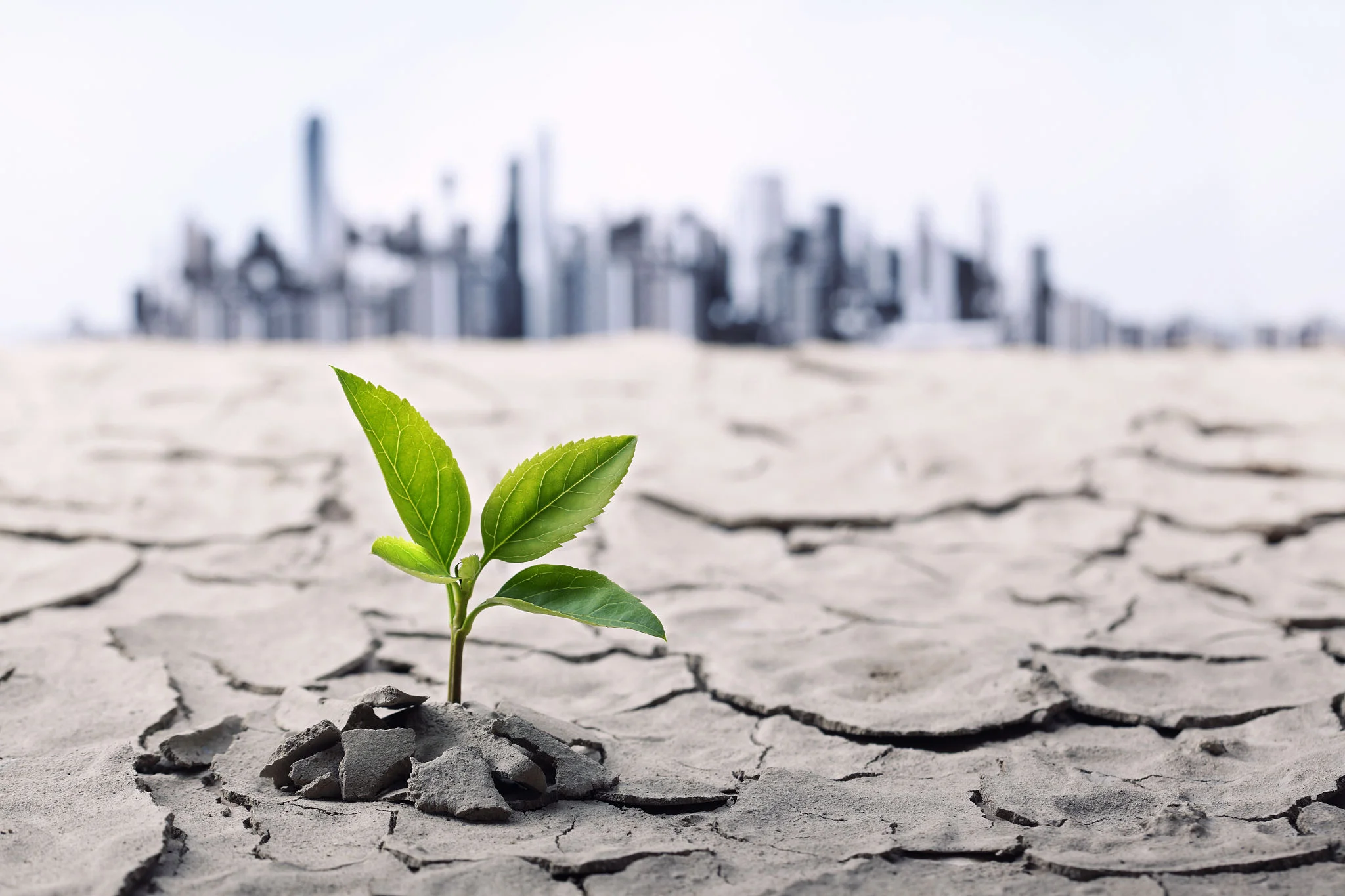 生態(tài)環(huán)境治理