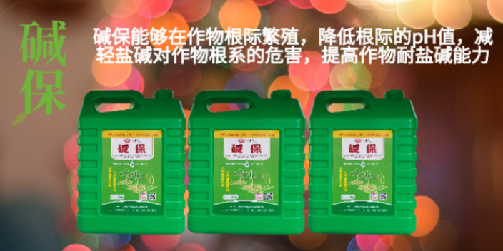 云南环保微生物菌剂 服务为先 宁夏五丰农业科技供应;