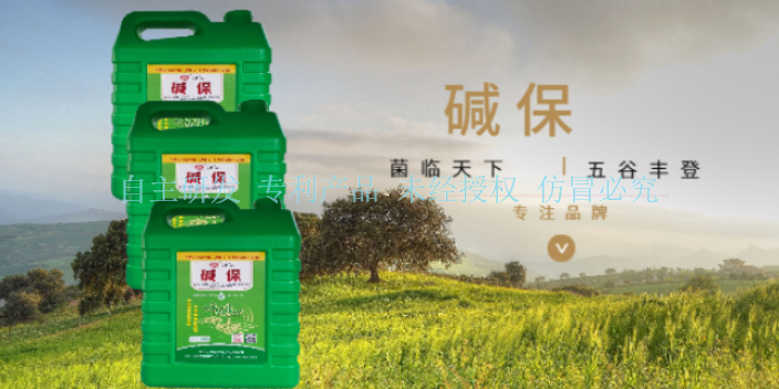 四川茶叶微生物菌剂介绍 值得信赖 宁夏五丰农业科技供应