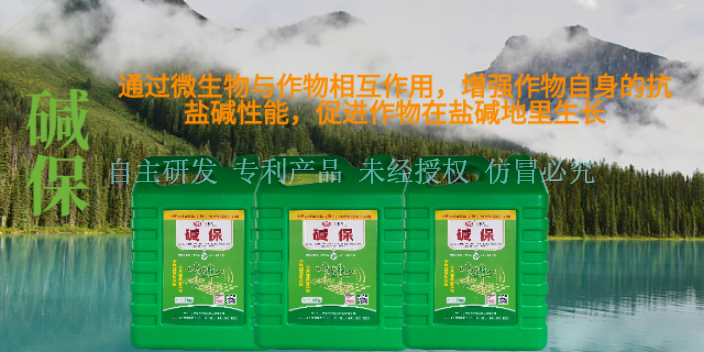 云南环保微生物菌剂 服务到位 宁夏五丰农业科技供应