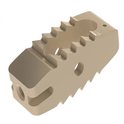 Intervertebral cage placement principles-spinal cages-iNature