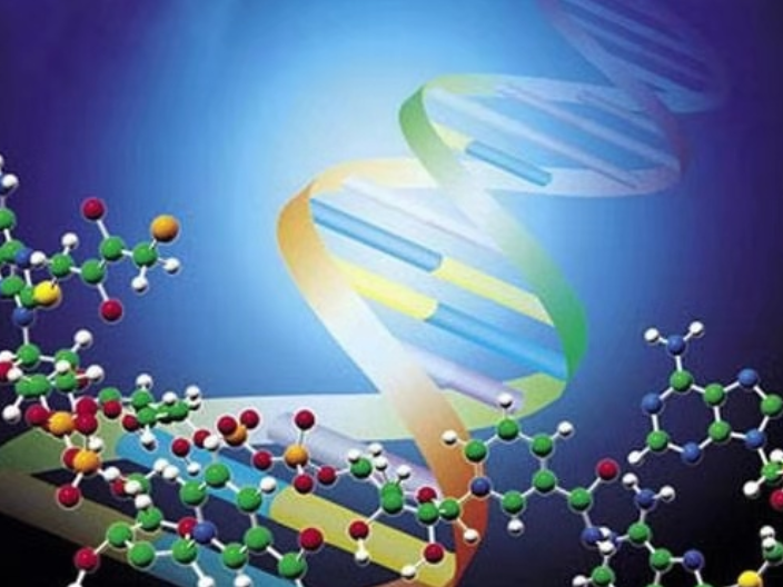 龙岩DNA亲子鉴定服务 福建法泽鉴识科技供应