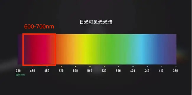 希德光-03.png