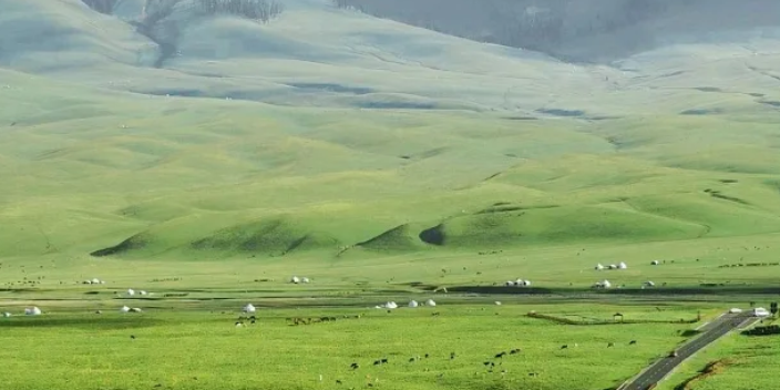 克拉玛依区旅游季新疆房车体验