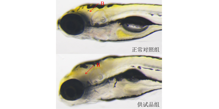 重复给药毒性实验报价