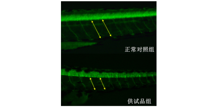 毒性实验报价