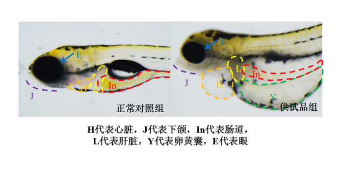 毒理學評估機構,毒理