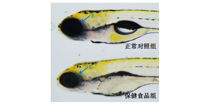 急性毒性試驗設(shè)計方案,毒理