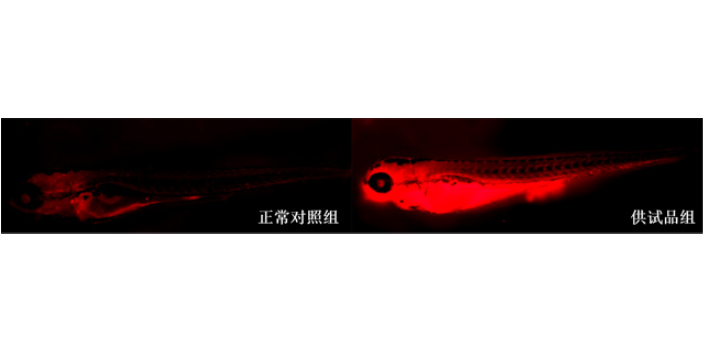 化妝品新原料功效實驗 信息推薦 杭州環(huán)特生物科技供應