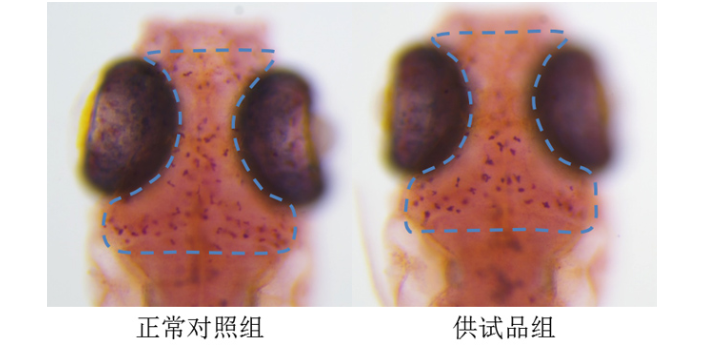 广州化妆品备案功效宣称评价