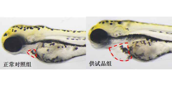 化妆品功效备案实验室