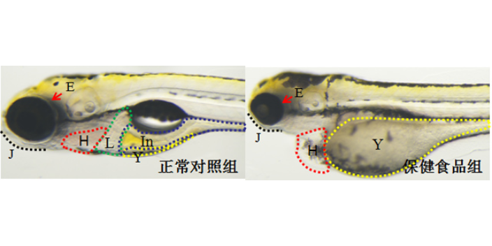 药物的量效关系实验多少钱