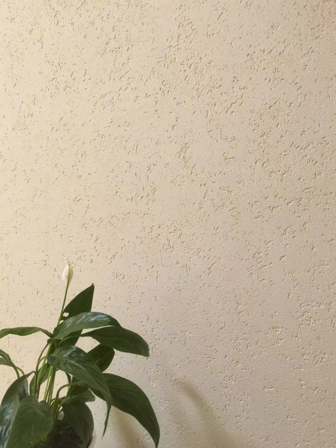 内墙硅藻泥：健康环保的选择