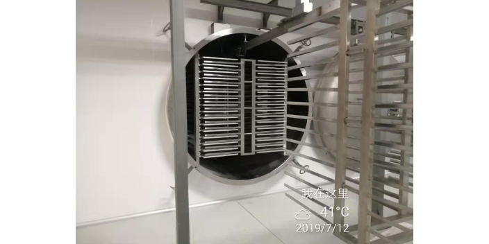 刺梨汁冻干机订制厂家 上海翔汉科技供应;