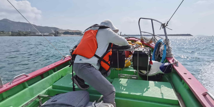 核电进水口原位监测仪哪家实惠