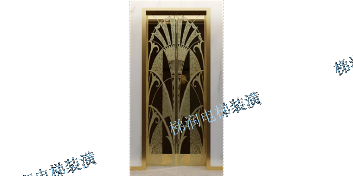 上海市小型电梯轿门 欢迎咨询 上海梯润电梯装潢工程供应