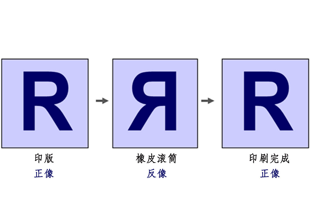 19-新聞十九-3.jpg