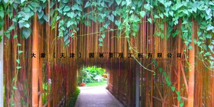 桓台县园林绿化工程管理
