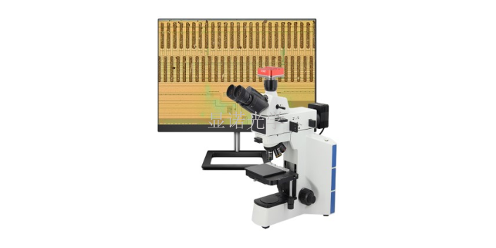 光学原理金相显微镜放大倍数 无锡显诺光学科技供应