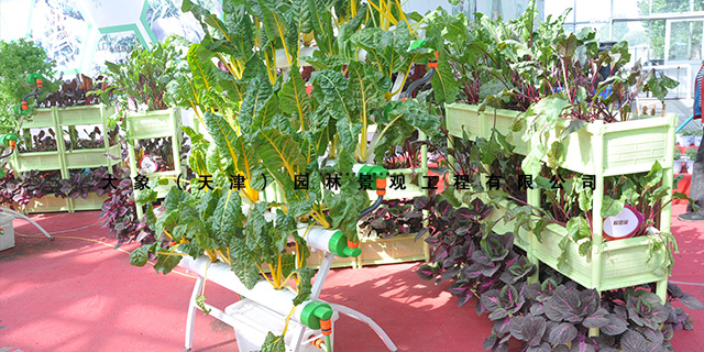 周村区蔬菜养殖技术指导,科技栽培