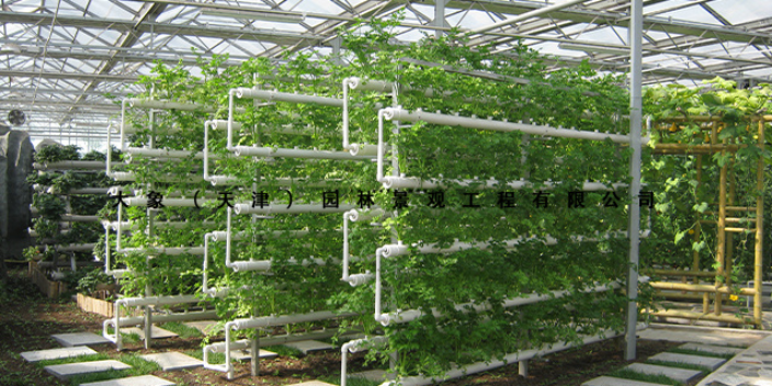 重慶反季節蔬菜種植技術(shù)指導,科技栽培