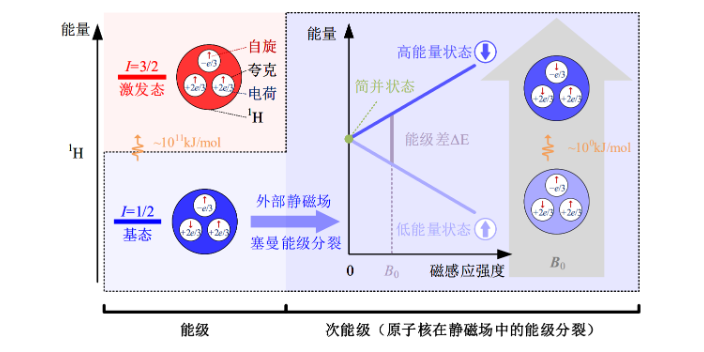 核磁共振非常规岩芯自由弛豫 江苏麦格瑞电子科技供应