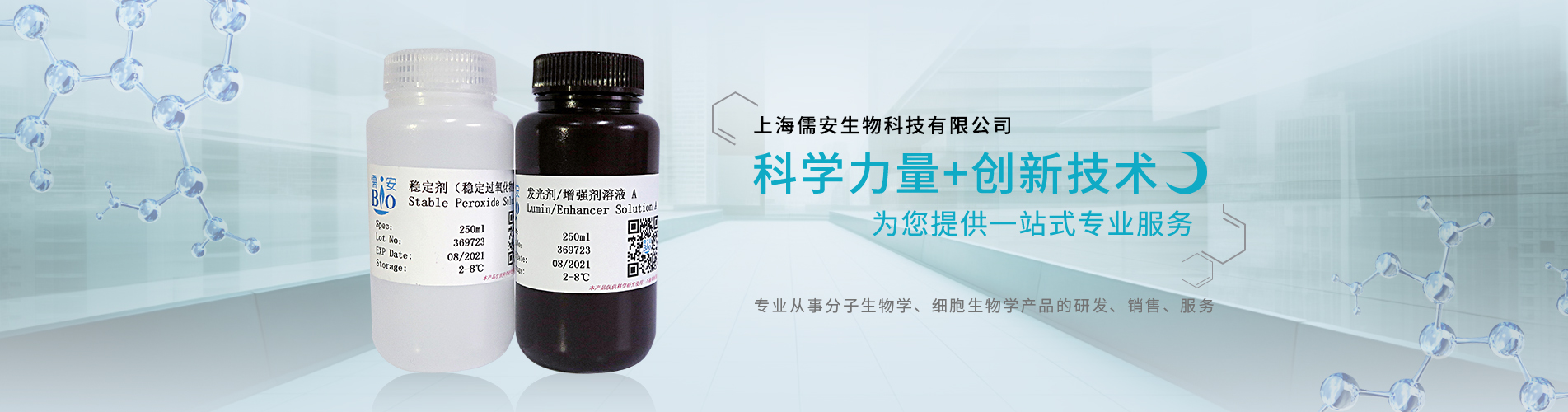 超敏ECL發(fā)光底物