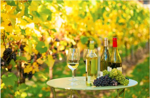 派克汉尼汾│为什么葡萄园选择氮气爆发器？