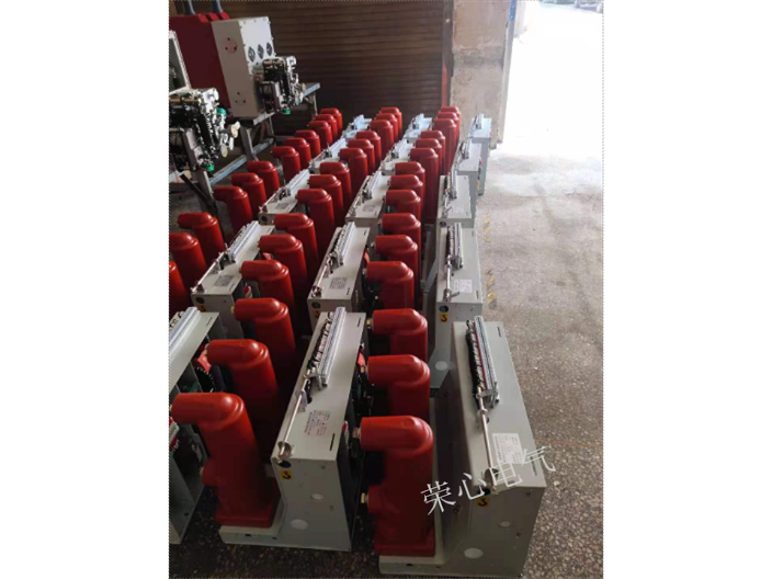 湖南智能固体柜高压断路器 服务为先 荣心电气供应