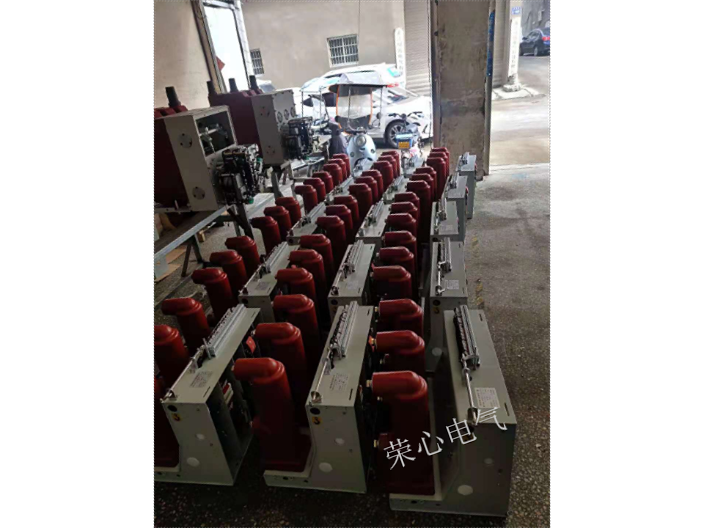 湖南高压断路器固体柜机芯厂家 服务至上 荣心电气供应