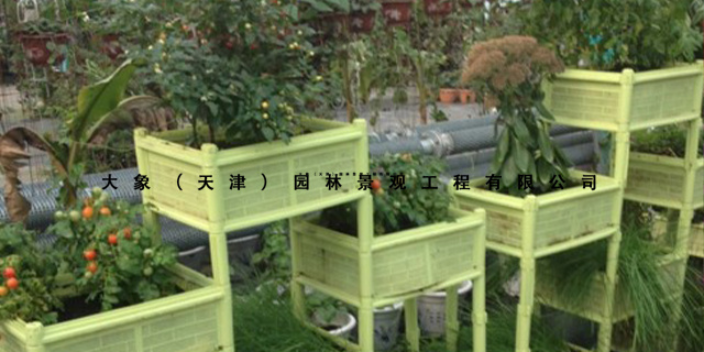 贵州绿植价格 大象园林景观工程供应