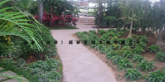 四川花卉绿植公司 大象园林景观工程供应