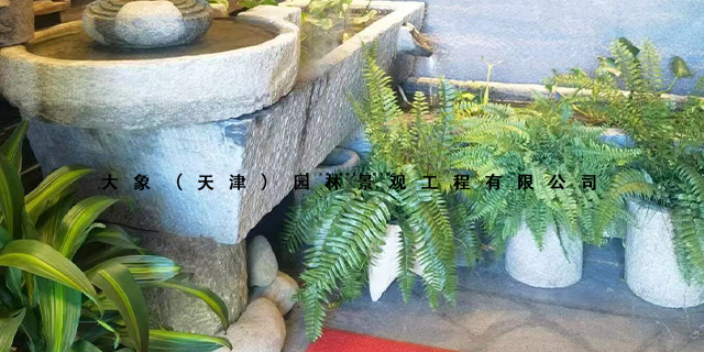黑龙江花卉盆栽电话 大象园林景观工程供应