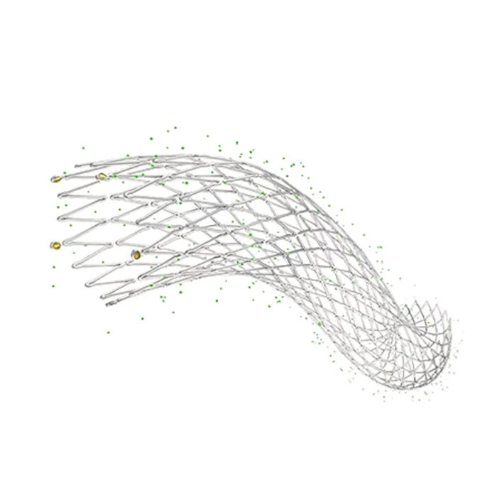 iliac artery stent