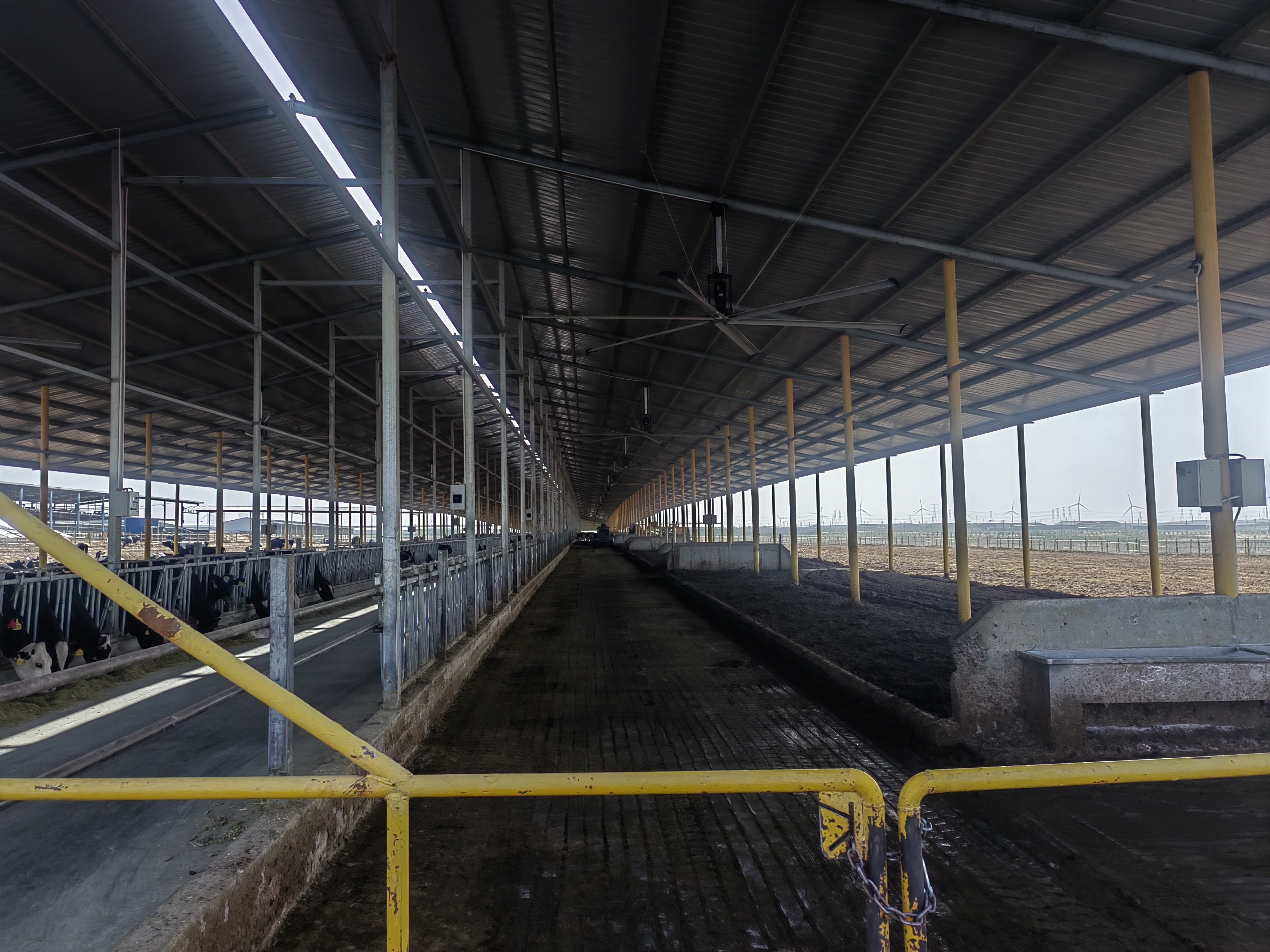 卡雷拉工业风扇助力养殖畜牧业通风降温除湿