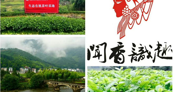 上海附近哪里有武夷岩茶价格行情