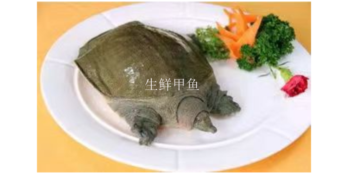 上海甲鱼蛋罐头价格多少,甲鱼蛋罐头