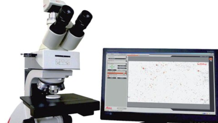 亳州徕卡显微镜检测 推荐咨询 茂鑫供