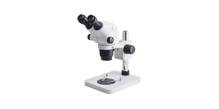 济南成像体视显微镜批发 诚信经营 无锡显诺光学科技供应