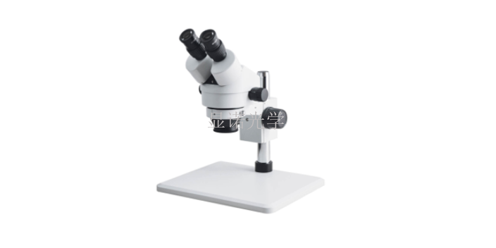 上海双目镜体视显微镜应用领域,体视显微镜