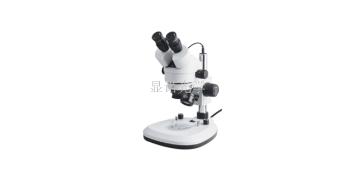 上海纺织体视显微镜研发 服务至上 无锡显诺光学科技供应
