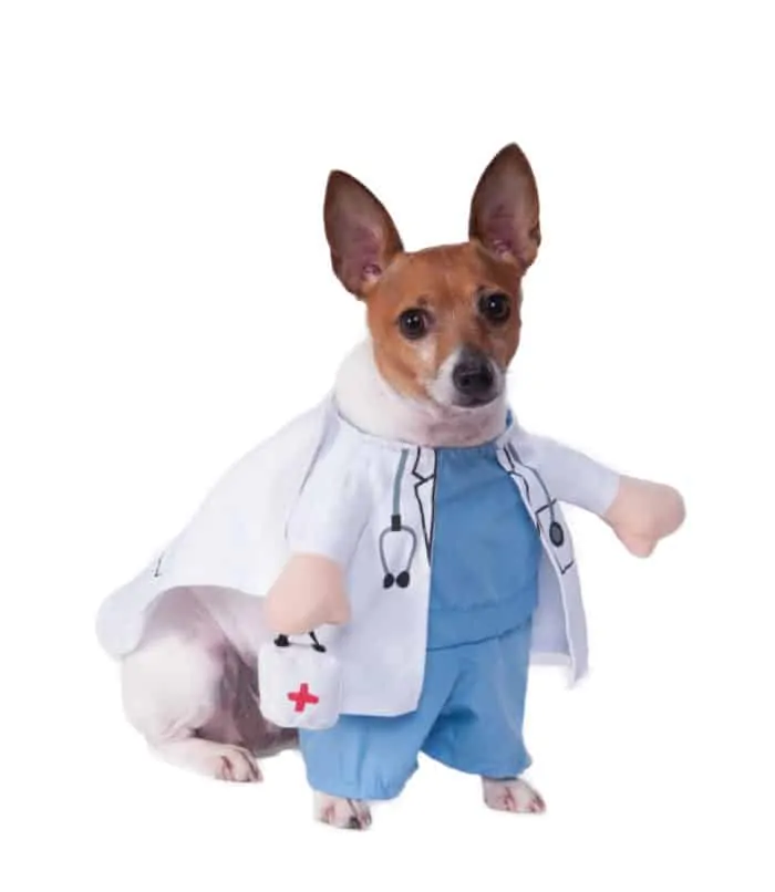 halloween cosplay pet doctor costume