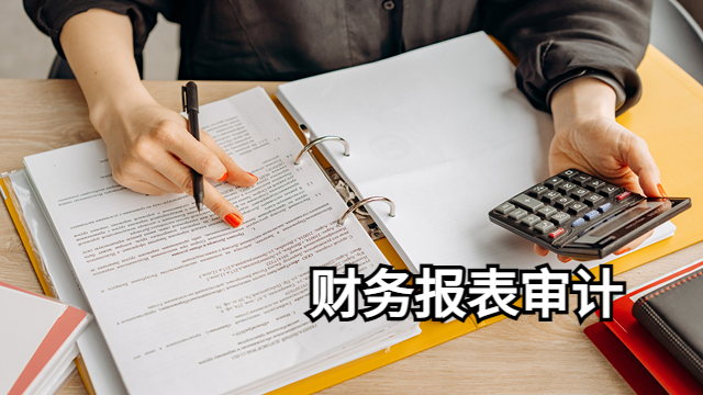 西青区第三方财务报表审计公司有哪些 中税正洁税务师事务所供应